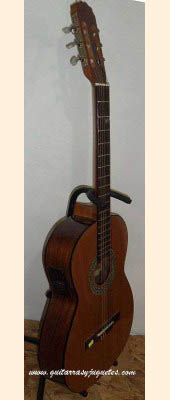 Guitarra Electroacústica de paloescrito con tapa de pinabete imagen 5